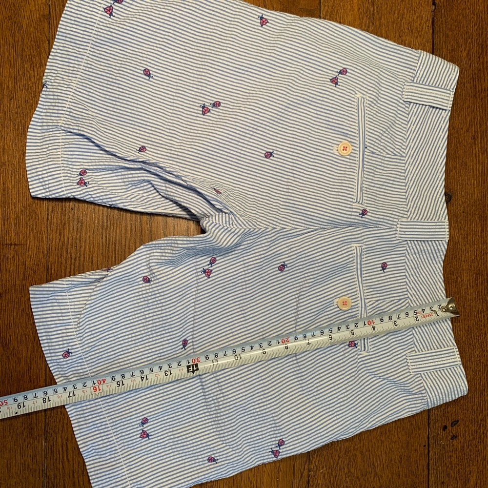 Lilly Pulitzer Seersucker Shorts with ladybugs - Picture 4 of 5